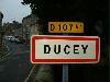 Ducey